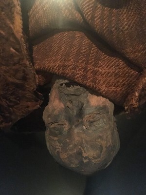 Figure 2. The Huldremose Woman, National Museum of Denmark  (Photograph, M. Schlanker 2018)